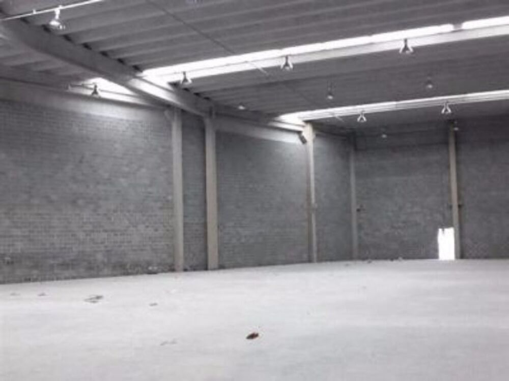 Depósito-Galpão-Armazém para alugar, 1715m² - Foto 1