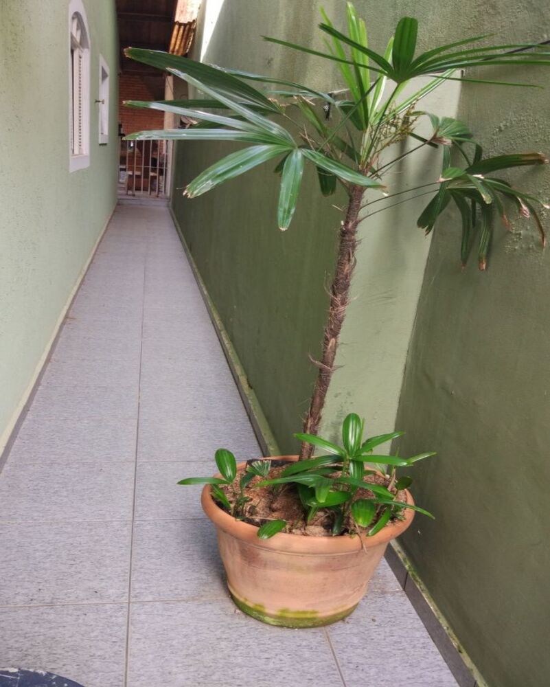 Sobrado à venda com 3 quartos, 165m² - Foto 4