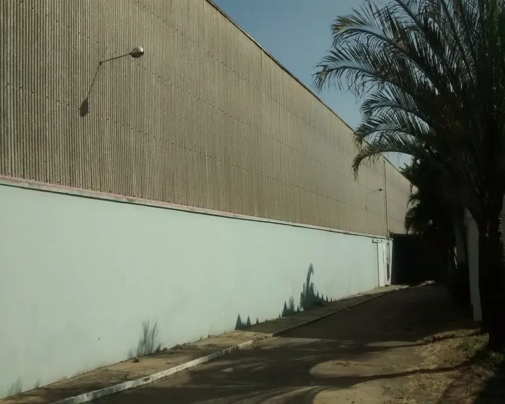 Terreno, 10000 m² - Foto 1