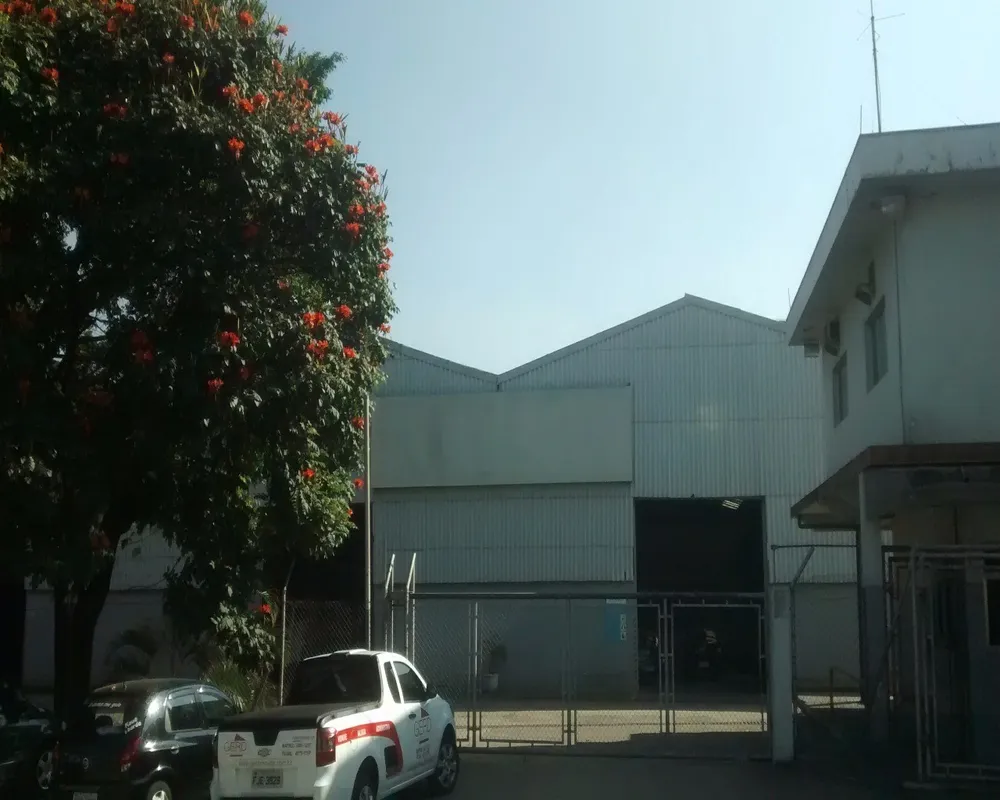 Terreno, 10000 m² - Foto 12