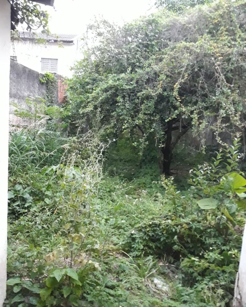 Sobrado para alugar com 3 quartos, 212m² - Foto 1