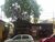 Casa, 3 quartos, 200 m² - Foto 4