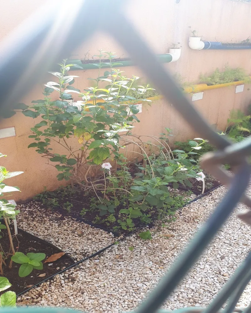 Apartamento, 3 quartos, 65 m² - Foto 12
