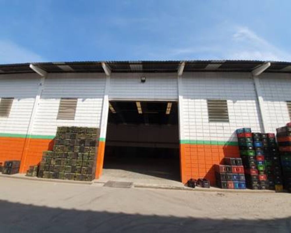 Depósito-Galpão, 3000 m² - Foto 8