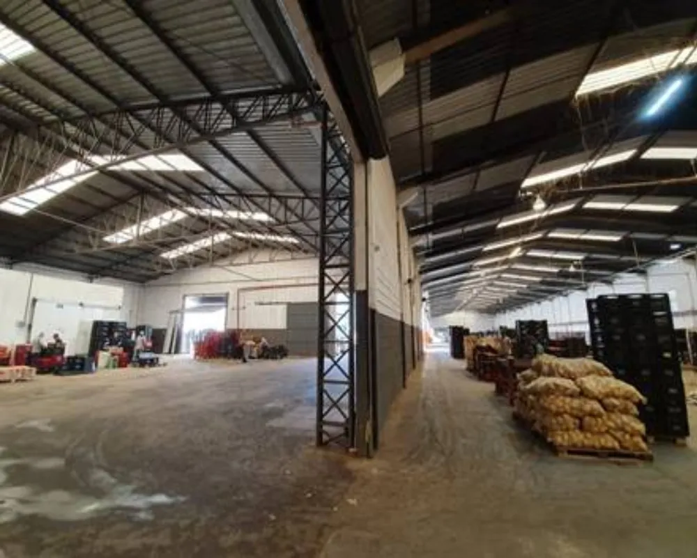 Depósito-Galpão, 3000 m² - Foto 4