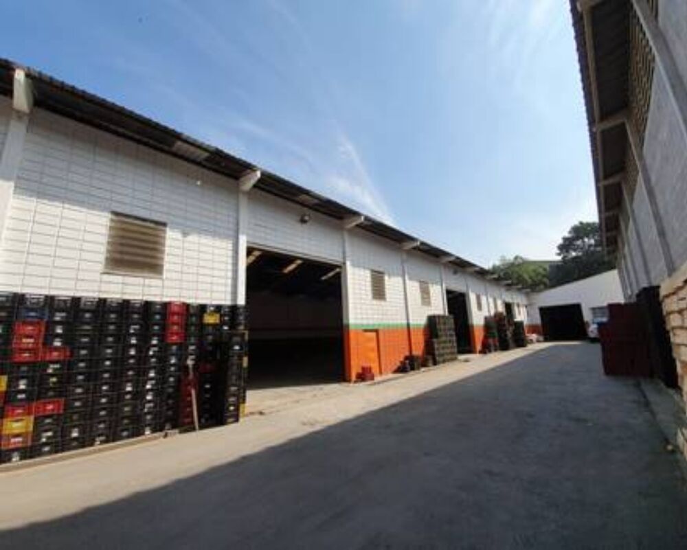 Depósito-Galpão, 3000 m² - Foto 5