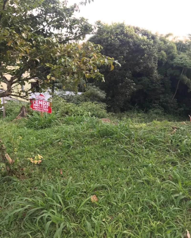 Terreno, 300 m² - Foto 1
