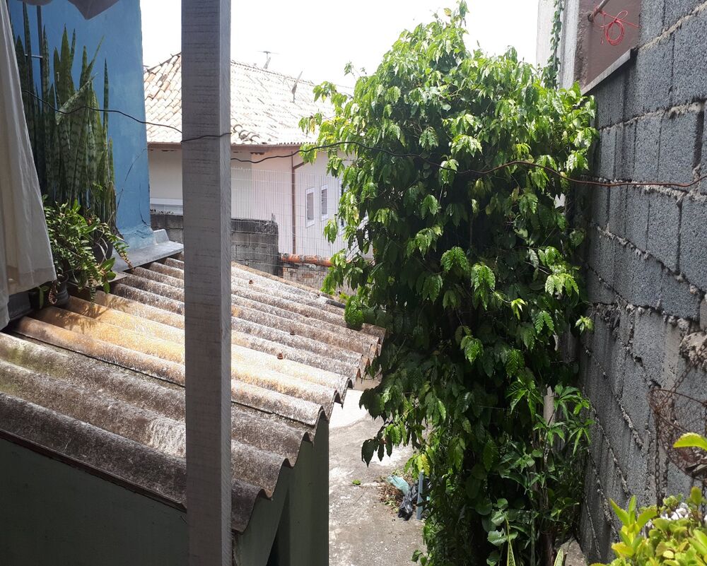 Terreno, 250 m² - Foto 5