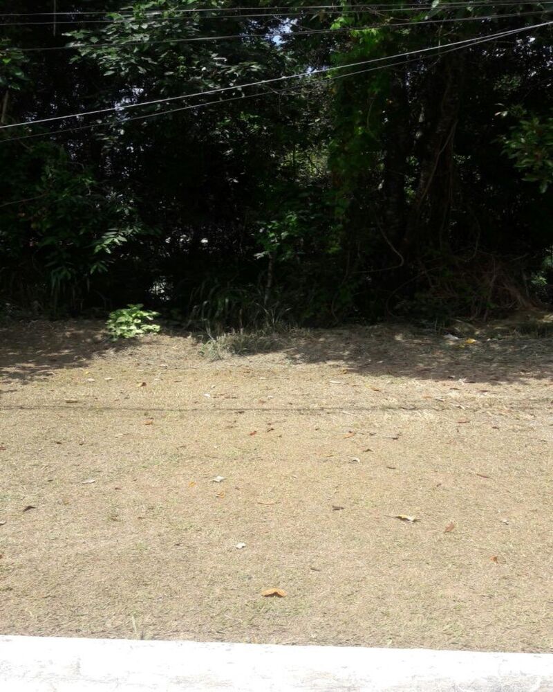 Terreno, 300 m² - Foto 1