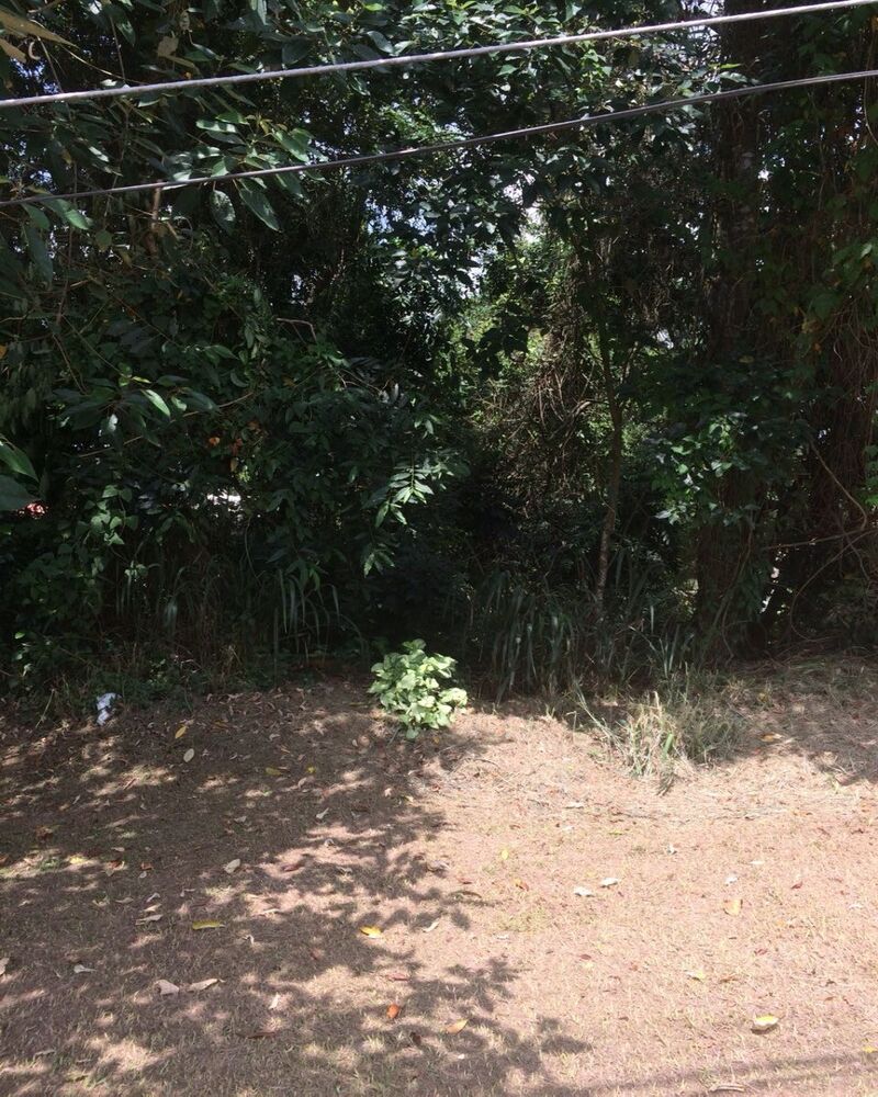 Terreno, 300 m² - Foto 2