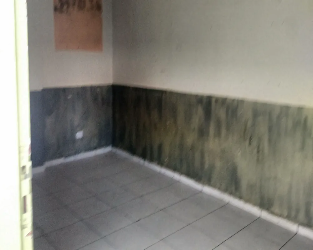 Casa, 5 quartos, 140 m² - Foto 4