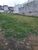 Terreno, 250 m² - Foto 1