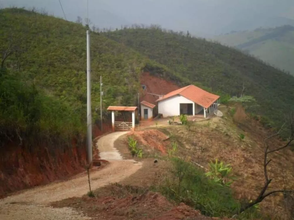 Fazenda à venda com 3 quartos, 24200m² - Foto 2