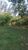 Chácara, 2 quartos, 2 hectares - Foto 4