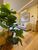 Apartamento, 2 quartos, 68 m² - Foto 2