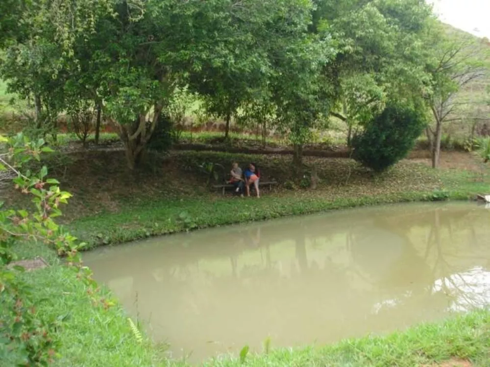 Fazenda à venda com 2 quartos, 17600m² - Foto 1