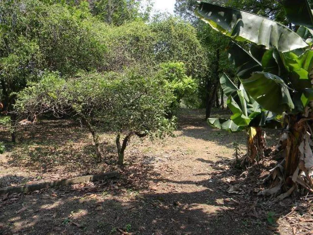 Fazenda à venda com 4 quartos, 500m² - Foto 5