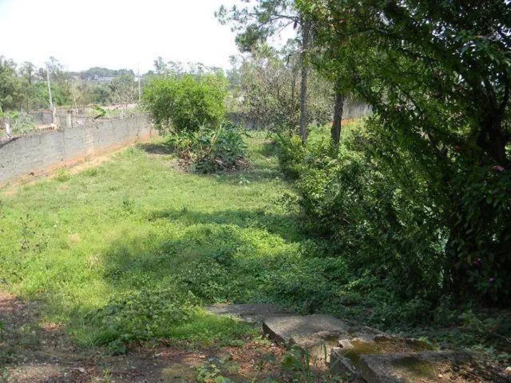 Fazenda à venda com 4 quartos, 500m² - Foto 6