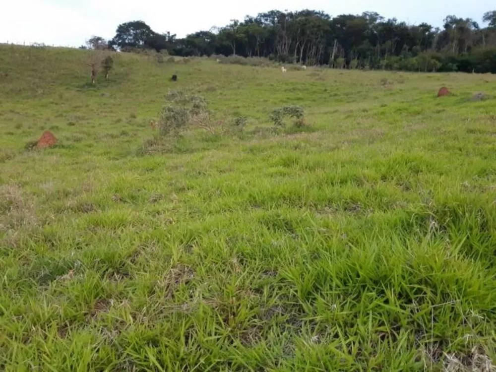 Terreno à venda, 2000m² - Foto 3