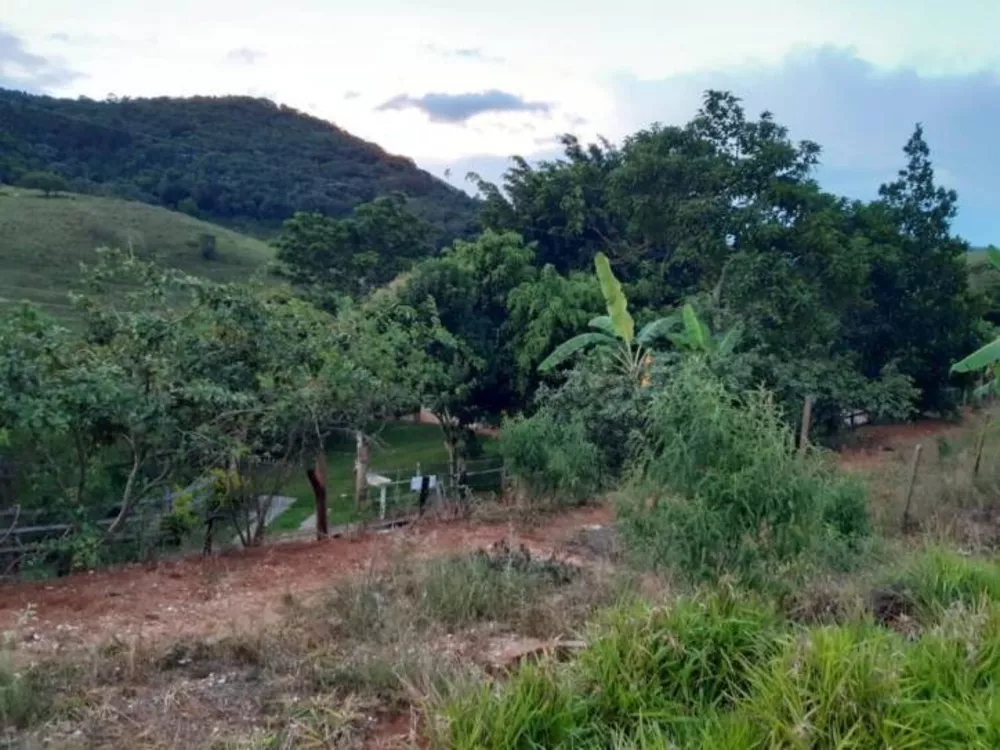 Terreno à venda, 2000m² - Foto 2