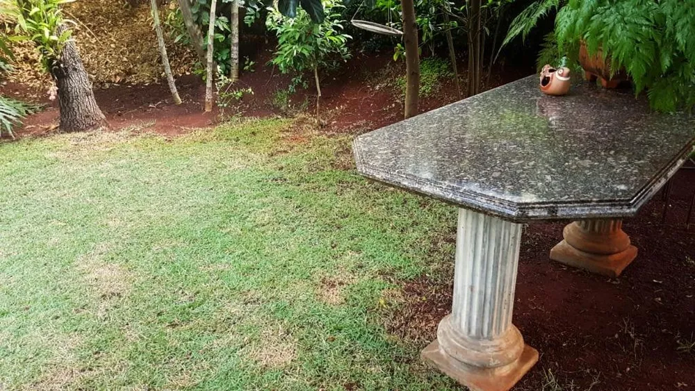 Casa, 5 quartos, 388 m² - Foto 3
