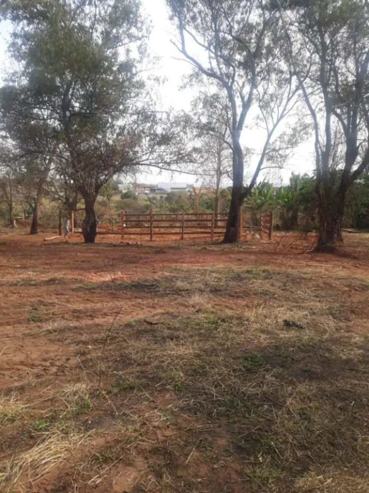 Terreno, 6000 m² - Foto 3