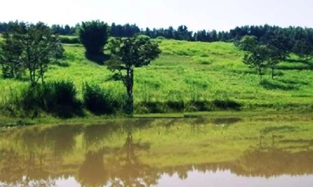Loteamento e Condomínio, 3 hectares - Foto 2