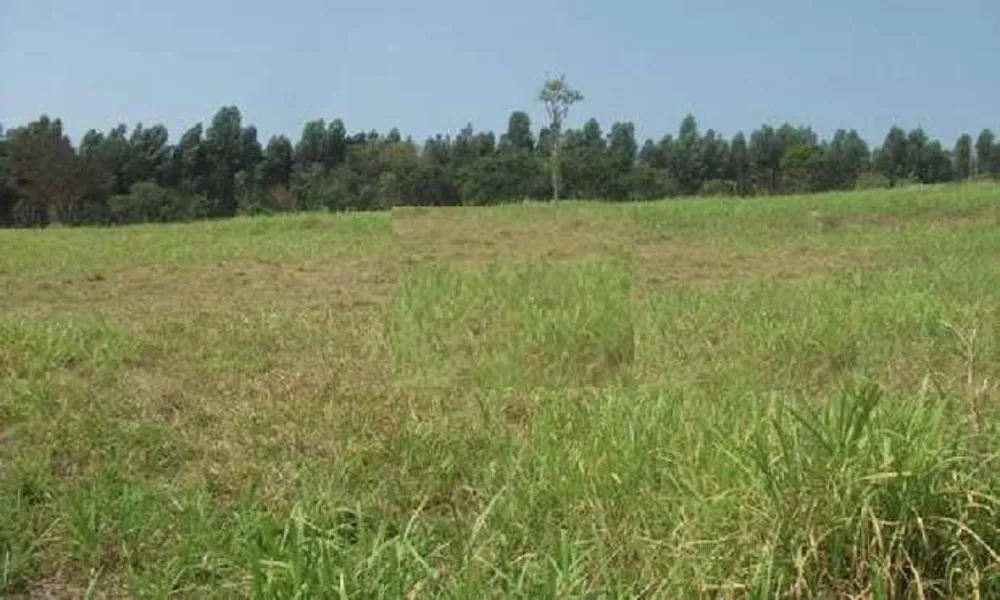 Loteamento e Condomínio, 3 hectares - Foto 3