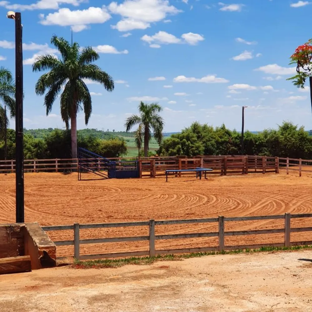 Fazenda, 6 hectares - Foto 4