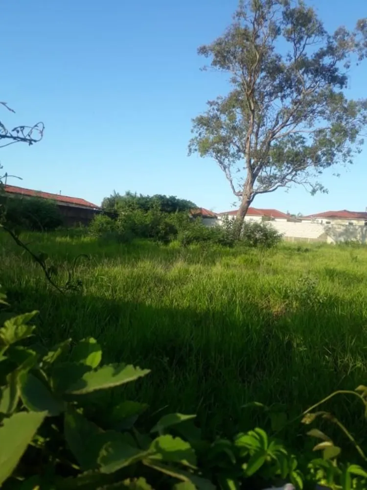 Terreno, 2100 m² - Foto 1