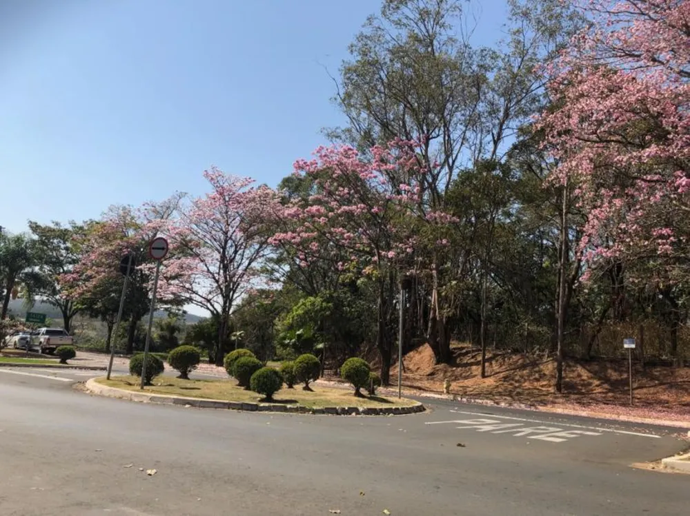 Loteamento e Condomínio, 817 m² - Foto 3