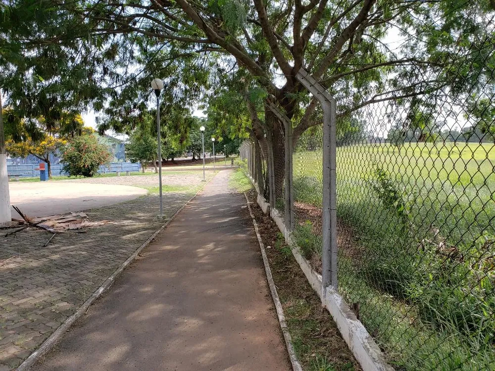 Terreno, 7 hectares - Foto 4