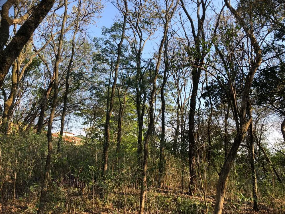 Terreno, 4000 m² - Foto 1