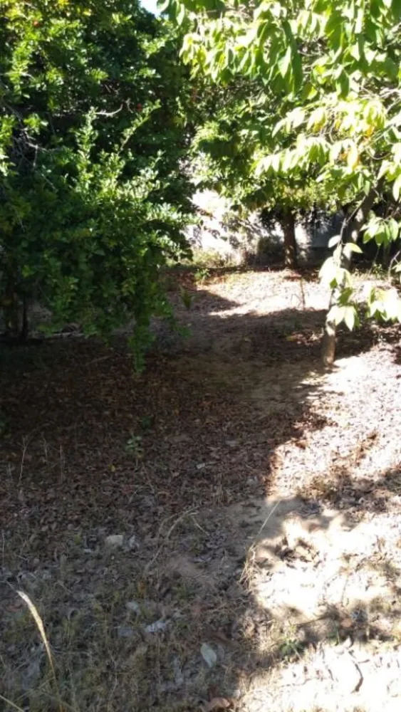 Terreno, 384 m² - Foto 4