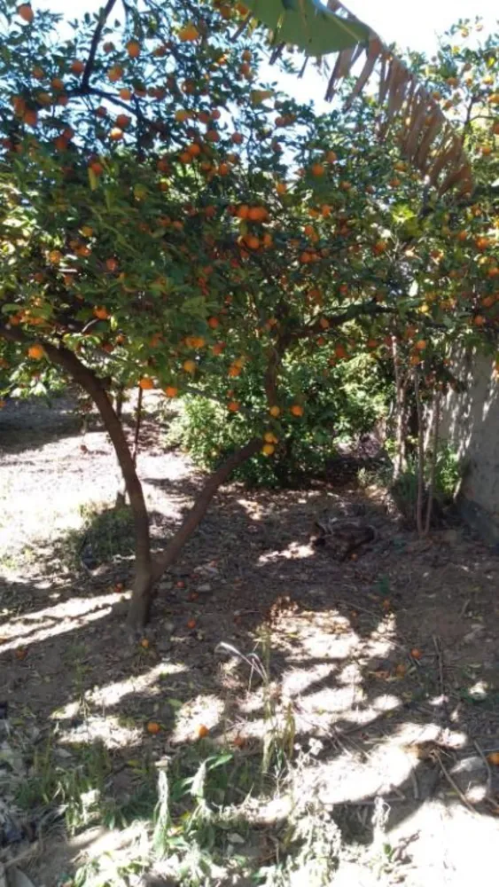 Terreno, 384 m² - Foto 3