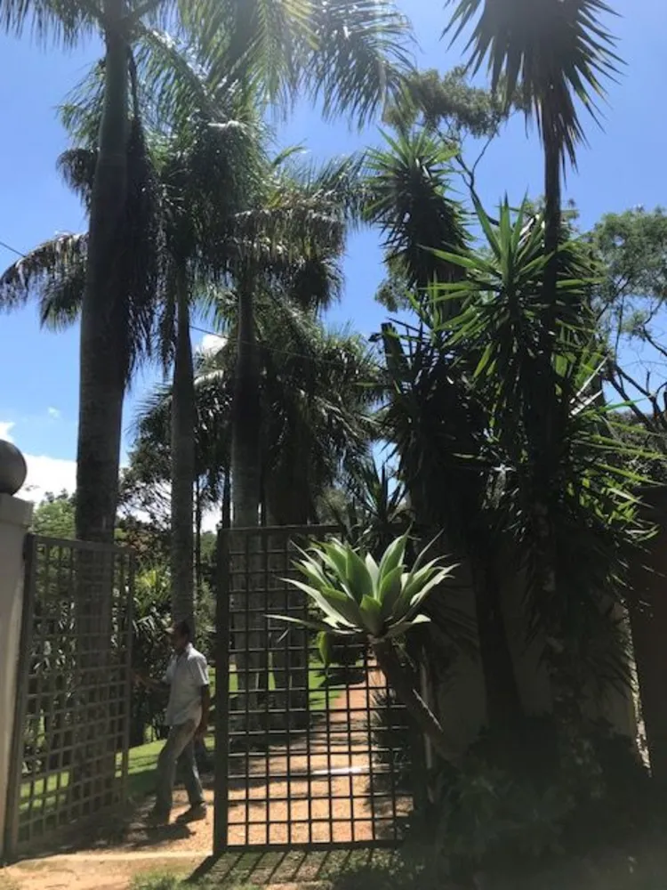 Chácara, 4 quartos, 4000 m² - Foto 2