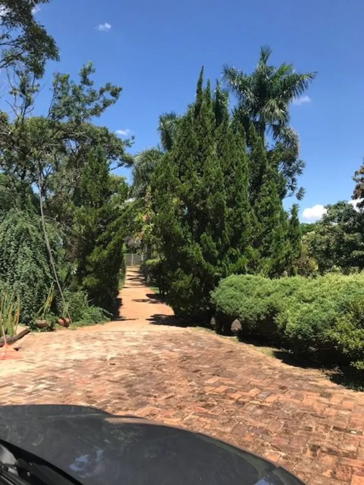 Chácara, 4 quartos, 4000 m² - Foto 4