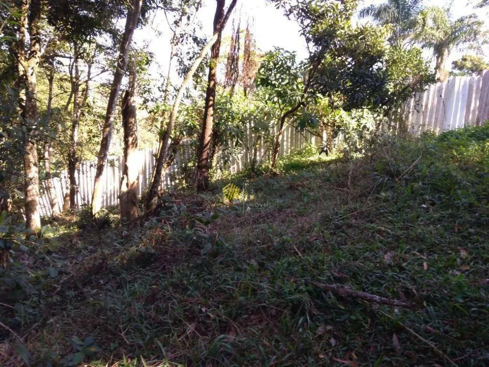 Chácara, 2 quartos, 9918 m² - Foto 12