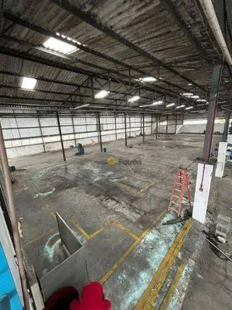 Depósito-Galpão, 3700 m² - Foto 4