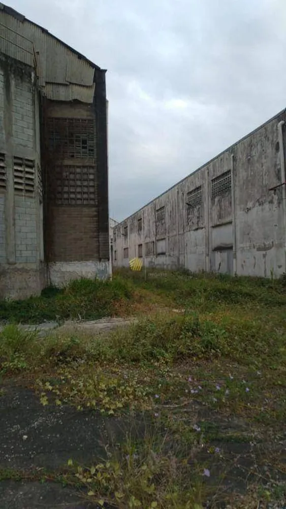 Terreno, 2500 m² - Foto 4