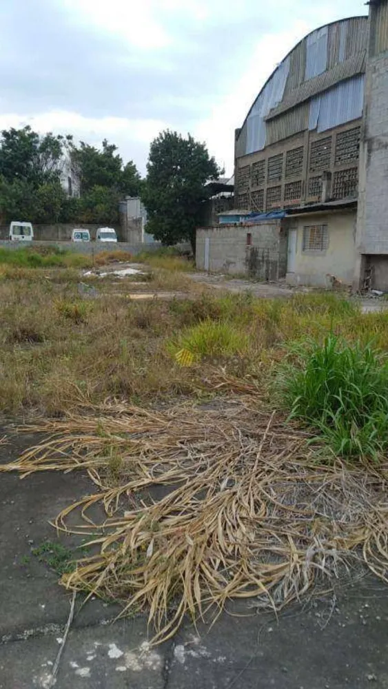 Terreno, 2500 m² - Foto 3