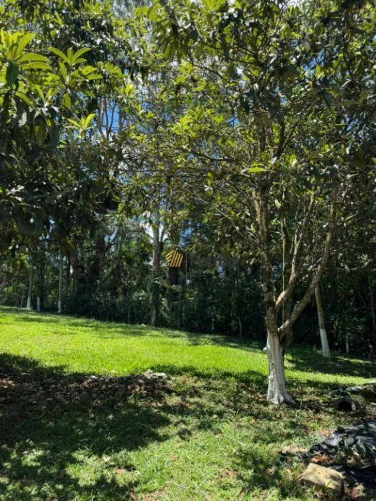 Loteamento e Condomínio, 2350 m² - Foto 4