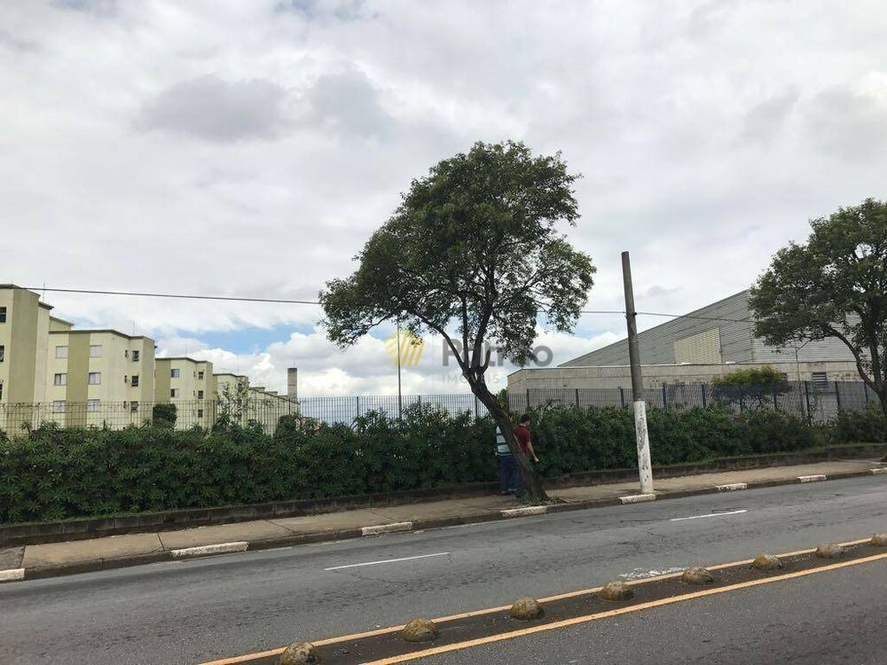 Terreno, 6560 m² - Foto 5