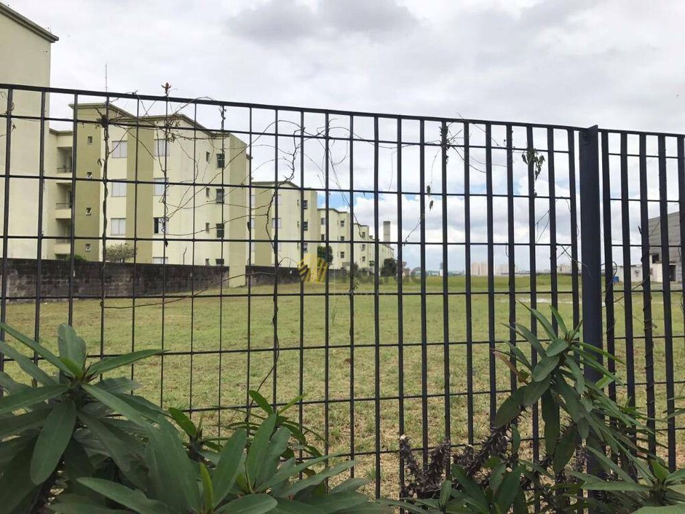 Terreno, 6560 m² - Foto 4