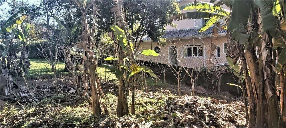 Terreno, 1050 m² - Foto 5