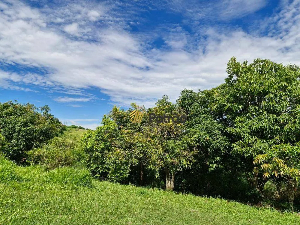 Terreno, 2 hectares - Foto 7