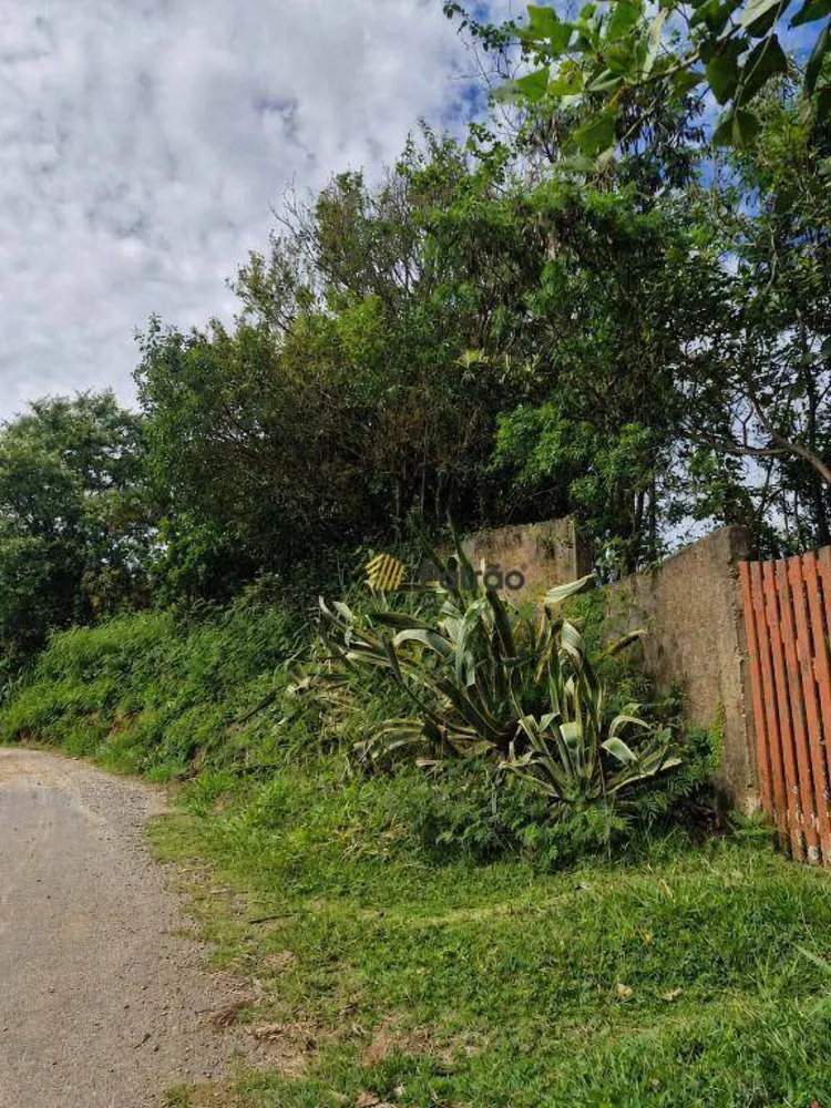 Terreno, 2 hectares - Foto 1