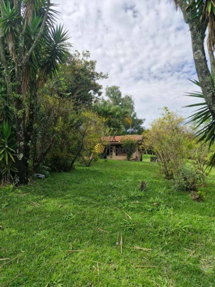 Terreno, 2 hectares - Foto 4