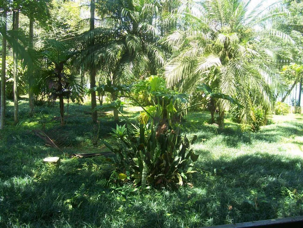 Chácara, 4 quartos, 3600 m² - Foto 8