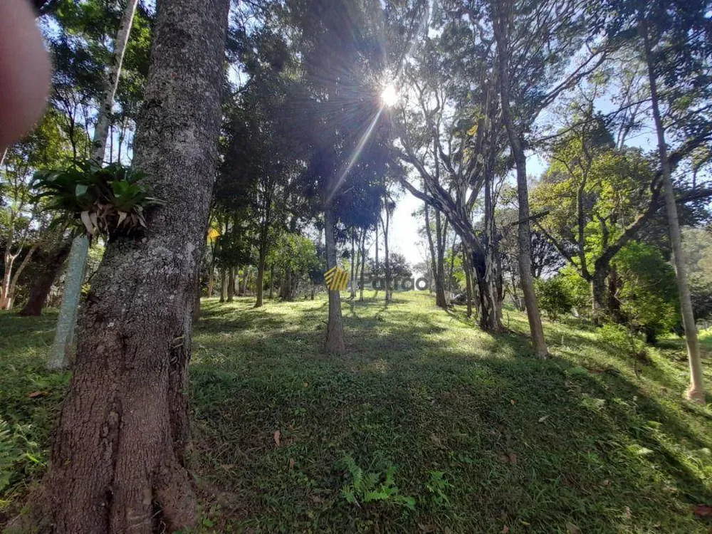 Terreno, 9980 m² - Foto 3